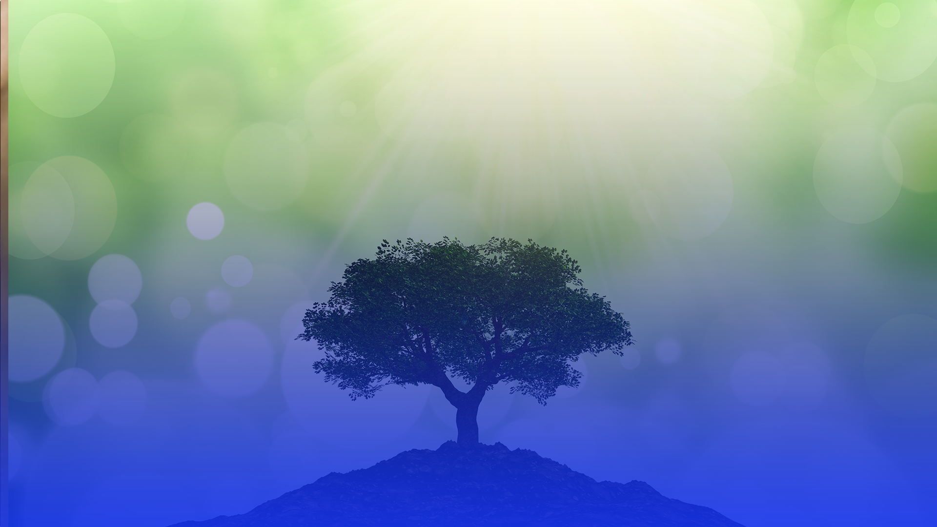 Environmental Conservation